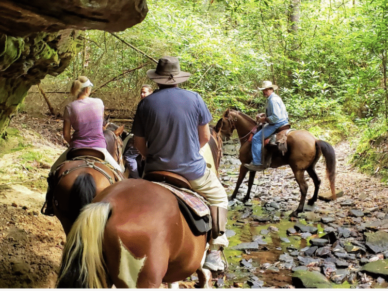 South East Pack Trips: Big South Fork TN